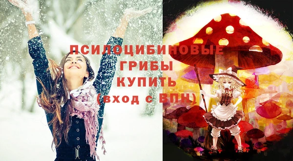 ПСИЛОЦИБИНОВЫЕ ГРИБЫ Армянск