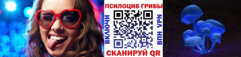 Псилоцибиновые грибы Cubensis  Североморск 